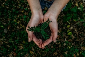 Our Sustainability Projects
